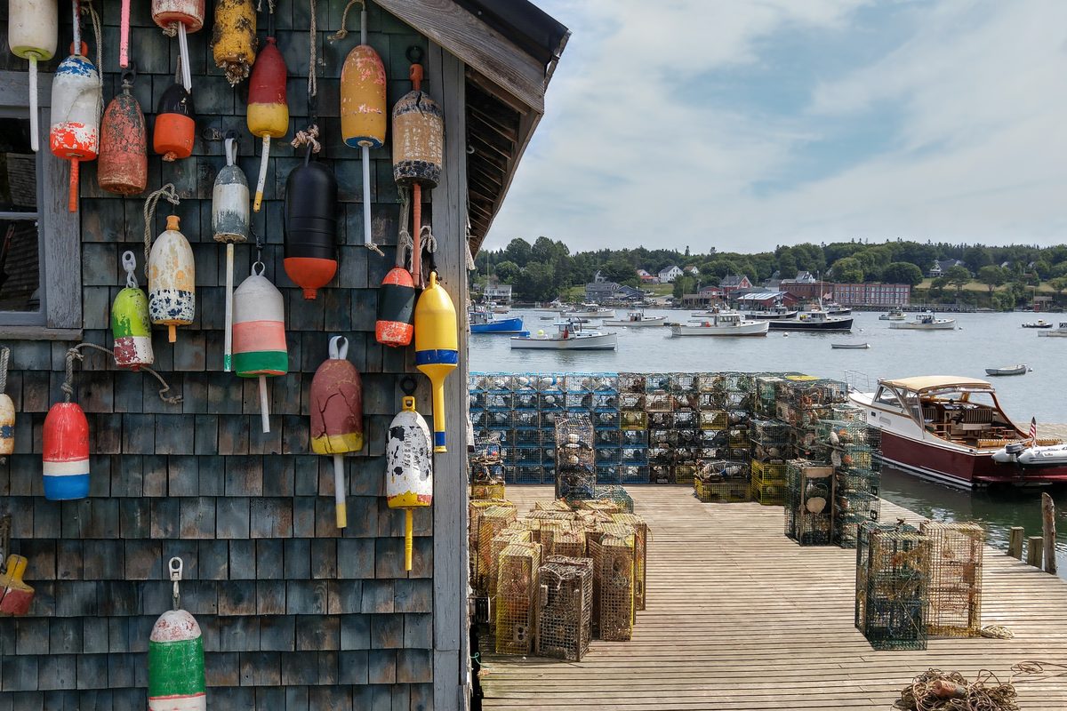 Lobster wharf with colorful buoys and traps on a working Maine waterfront